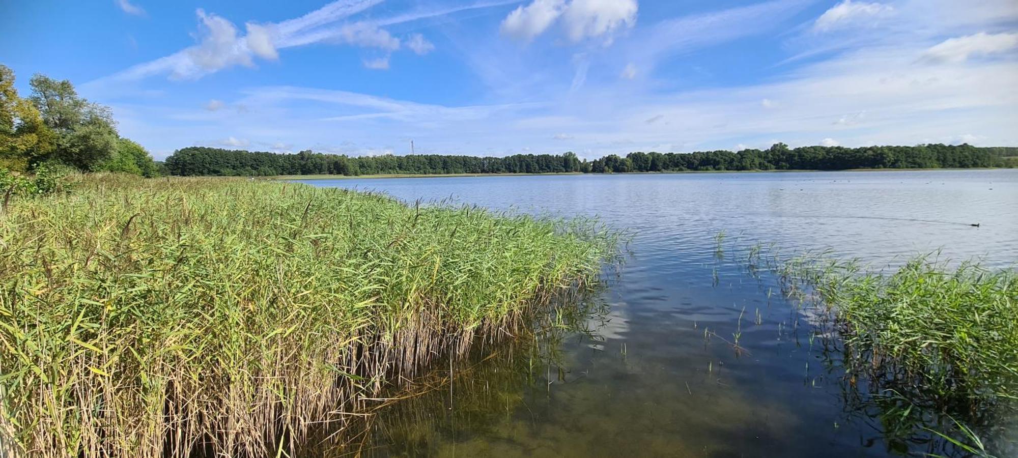 Ferienhof Am Kaebelicksee Kratzeburg Eksteriør billede